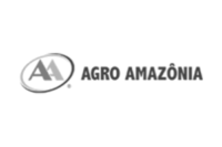 Agro Amazônia cinza